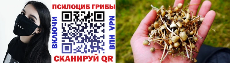 купить сайты Ульяновск omg как зайти Псилоцибиновые грибы Magic Shrooms